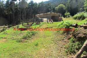 Park Cottage – V421 – Image 8