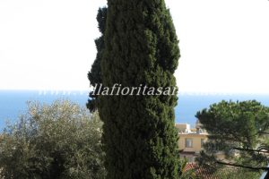 Residence Flat – V68 – Image 1