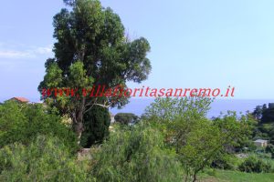 Residence Park – V389 – Image 3