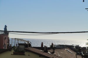 Studio Pigna – V156 – Image 4
