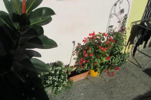 Studio Pigna – V156 – Image 5