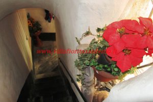 Sunny Attic – V37 – Image 24