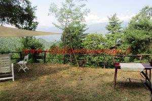 Sunny Cottage – V401 – Image 10
