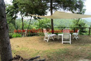 Sunny Cottage – V401 – Image 11