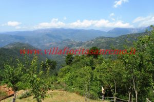 Sunny Cottage – V401 – Image 2