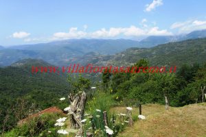 Sunny Cottage – V401 – Image 33