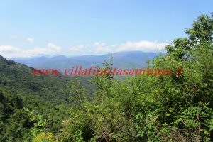 Sunny Cottage – V401 – Image 35