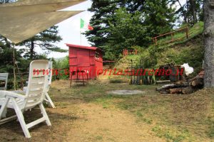 Sunny Cottage – V401 – Image 9