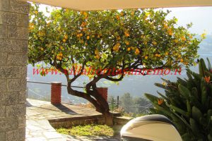 Sunny Hill House – V300 – Image 1