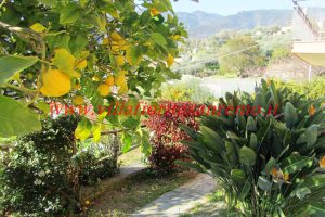 Sunny Hill House – V300 – Image 12