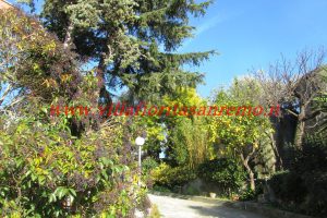 Sunny Hill House – V300 – Image 14