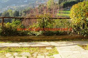 Sunny Hill House – V300 – Image 2