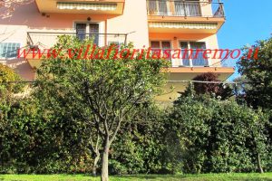 Sunny Hill House – V300 – Image 38