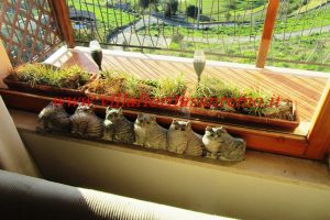 Sunny Hill House – V300 – Image 9