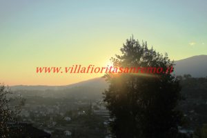 Sunny Hills Cottage – V02 – Image 11