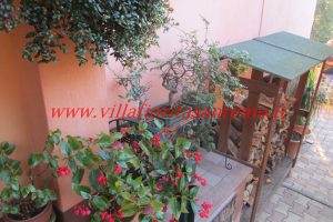 Sunny Hills Cottage – V02 – Image 3