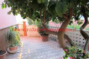 Sunny Hills Cottage – V02 – Image 9