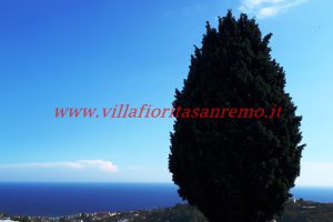 Sunny House – V188 – Image 1