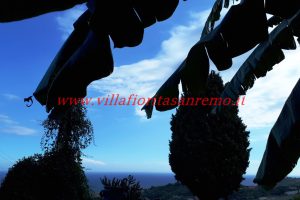 Sunny House – V188 – Image 2
