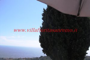 Sunny House – V188 – Image 20