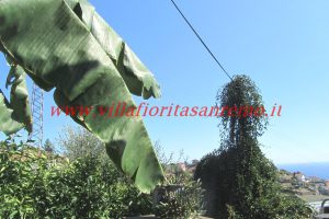 Sunny House – V188 – Image 21