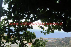 Sunny House – V188 – Image 23