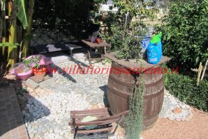 Sunny House – V188 – Image 25