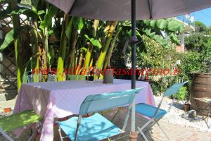 Sunny House – V188 – Image 27
