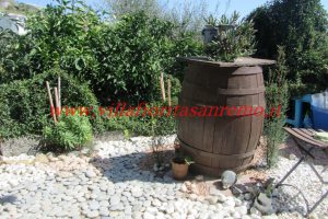 Sunny House – V188 – Image 28