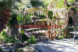 Sunny House – V203 – Image 12