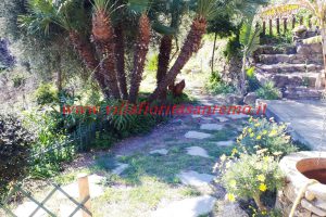 Sunny House – V203 – Image 7