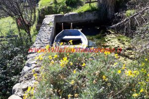 Sunny House – V203 – Image 8