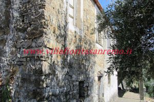 Sunny Rustic – V400 – Image 1
