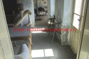 Sunny Rustic – V400 – Image 12