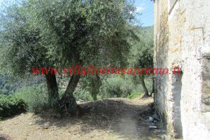 Sunny Rustic – V400 – Image 19