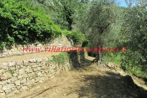 Sunny Rustic – V400 – Image 2