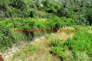 Sunny Rustic – V400 – Image 21