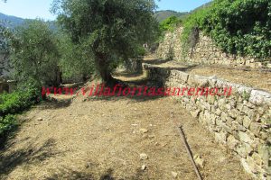 Sunny Rustic – V400 – Image 3