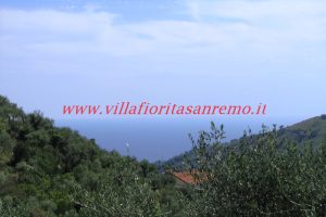 Sunny Rustic – V400 – Image 5