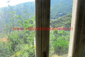 Sunny Rustic – V400 – Image 6