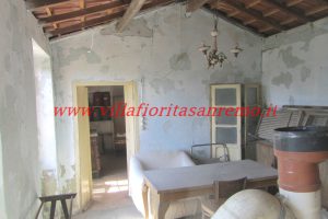 Sunny Rustic – V400 – Image 7