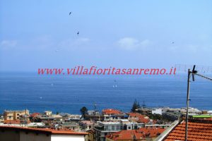 Sunny Terrace – V74 – Image 36