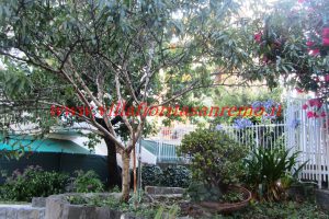 Terrace Apartment – V417 – Image 8