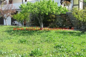 Villa Three Apartments – V210 – Image 3