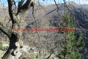 Village House – V146 – Image 20