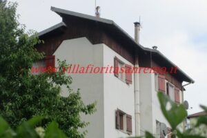 IMG_0667