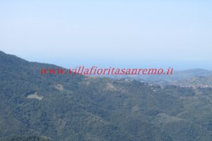 IMG_1650